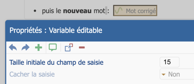 Formulaire permettant de fixer la taille de champ de saisie d’une variable apprenant.