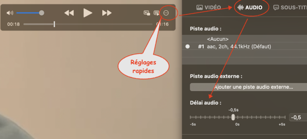 Réglage de la synchronisation avec IINA